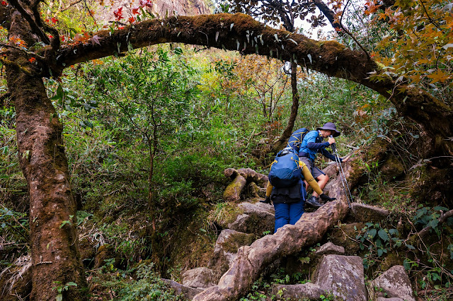 Hành trình trekking Fansipan 2023