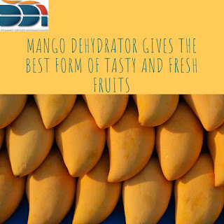 mango dehydrator