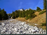 DSCN8928