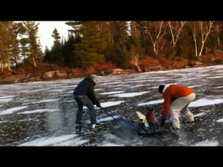 Two guys rescue deer from frozen lake