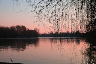 Bord de Seine, Dammarie les Lys 77