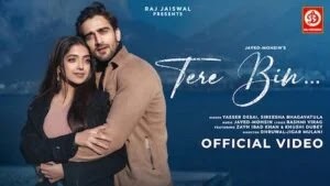 Tere Bin Lyrics - Yasser Desai, Sireesha Bhagavatula (2024)