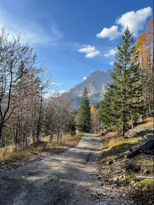 Passeggiata Malga Maraia in autunno