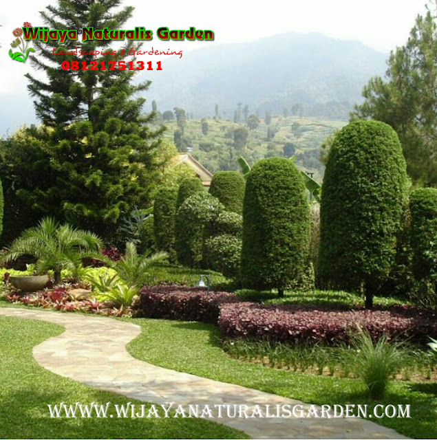 Tukang Taman Surabaya Garden Center,Tukang Taman Surabaya,Tukang Taman Surabaya Murah,Tukang Taman Surabaya Barat,Tukang Taman Kota Surabaya ,Harga Tukang Taman Surabaya ,Tukang Taman Murah di Surabaya,Tukang Buat Taman di Surabaya,Tukang Taman Surabaya Wijaya Naturalis,Tukang Taman Surabaya Murah,Tukang Taman Surabaya Terbaik,Tukang Pembuatan Taman Surabaya,Jasa Tukang Taman Surabaya,Tukang Taman di Surabaya,Tukang pembuatan Taman di Surabaya