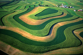 Strip farming alleviating hazard