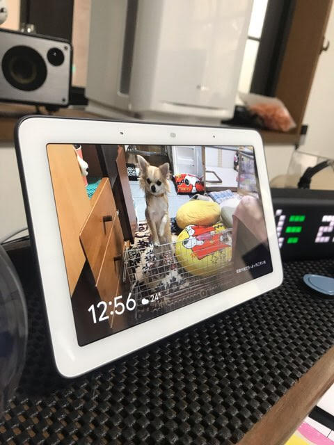 Google Nest Hubのフォトフレーム機能をamazon Echo Showと比較してみた その違いと優劣は よっちことサン太