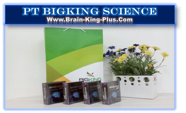 Brainking Plus International Nutrition, Brain King Plus Nutrisi Indonesia, Brain Nutrition Brainking Plus, Brainking Nutrition 