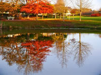 Autumn in France