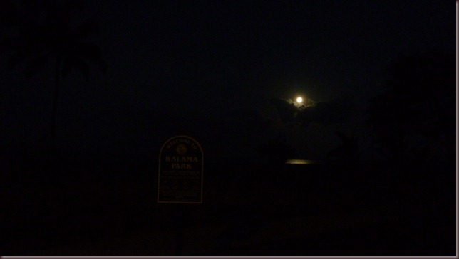 Moon at the Park (21)