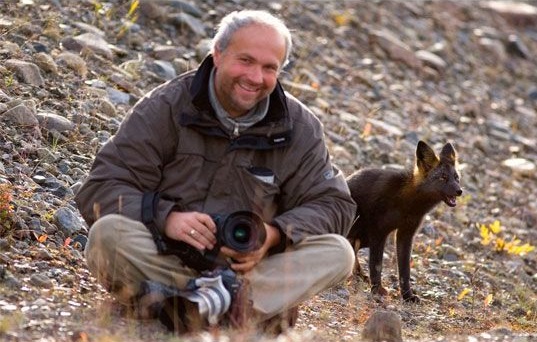 Incredible photographs of the rare silver fox