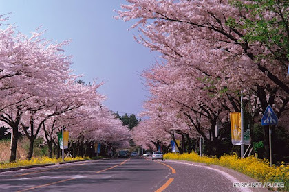 Pemandangan Korea Selatan