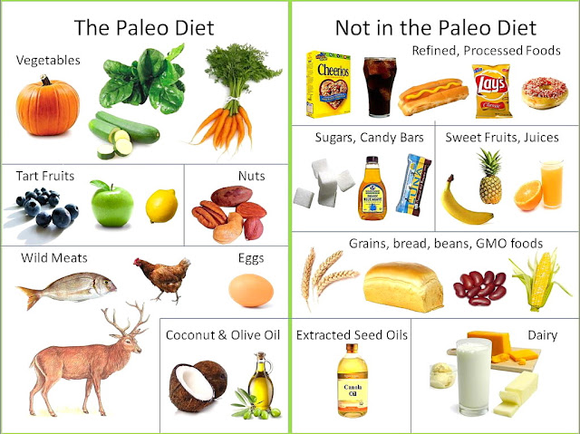 the paleo diet,