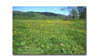 Tokachi Ecology Park