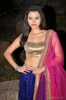 actress priyanka hot photos+%252817%2529 Priyanka Hot Photo Stills