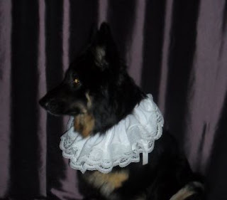 How to Make a Frilly Collar or Ruffle for your Dog