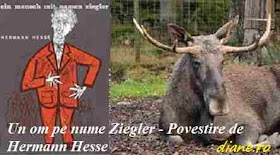 Povestire de Hermann Hesse - Un om pe nume Ziegler 