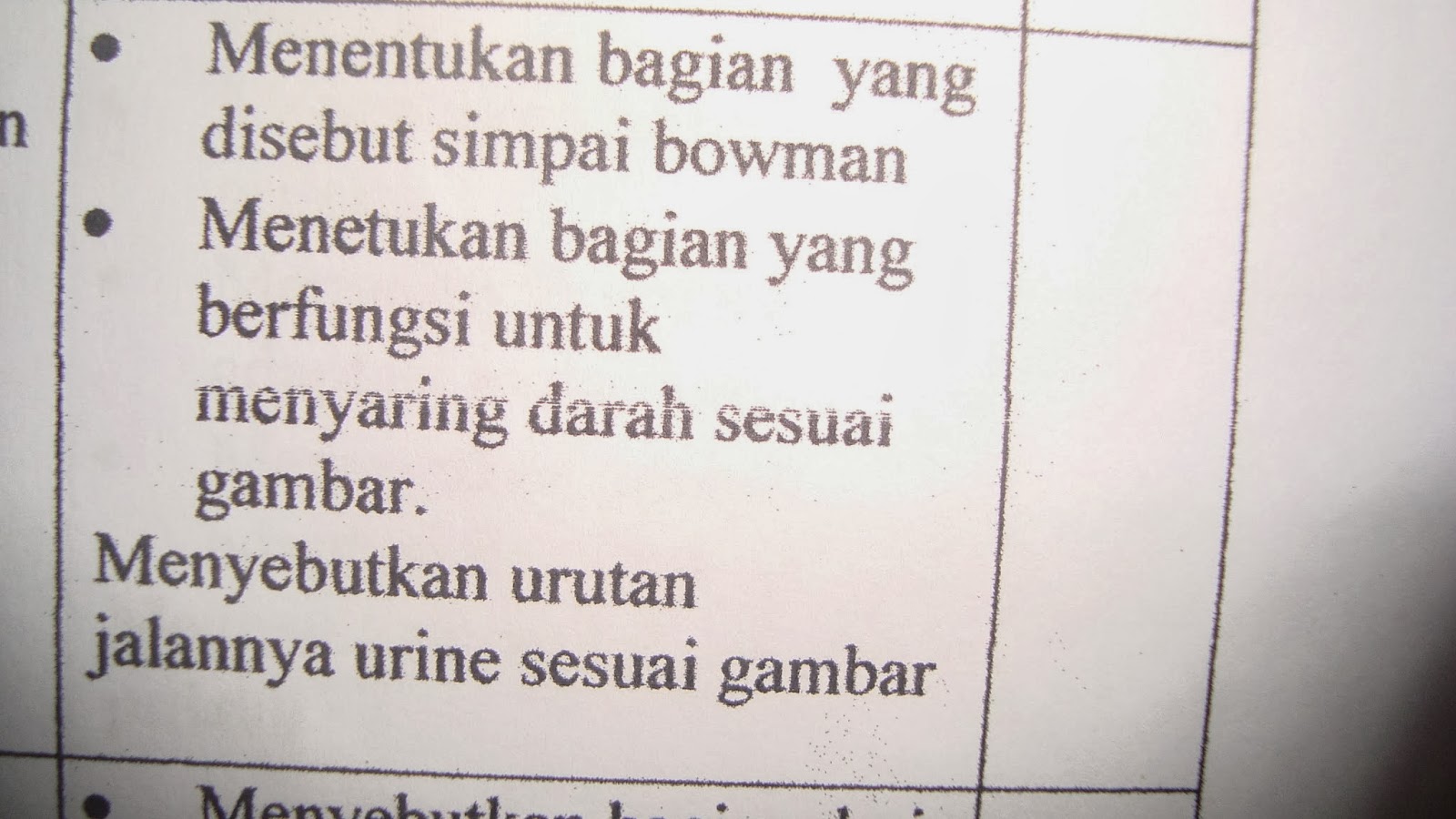 Download Skripsi Sastra Indonesia  Kumpulan contoh