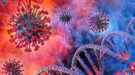 15 more deaths due to coronavirus in the country
