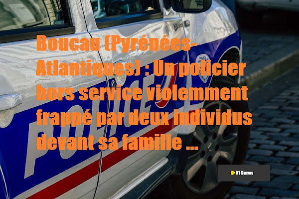 Boucau (Pyrénées-Atlantiques) : Un policier hors service violemment frappé par deux individus devant sa famille