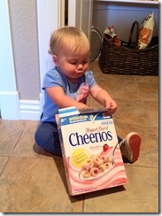 Nola Cheerios