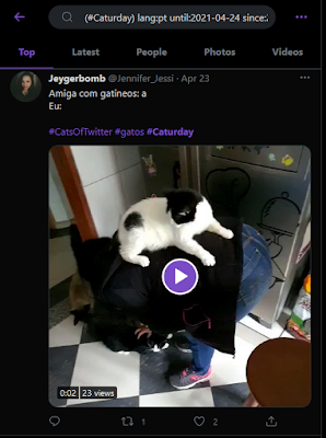 Twitter advanced search results for #Caturday in Portuguese for April 2021