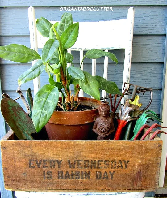 Creative Container Vignette Ideas