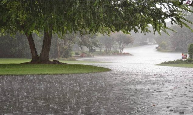 More rains are forecast in the country from today till February 4