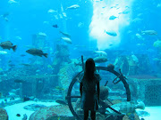 The Blog: Dubai, Atlantis (img )