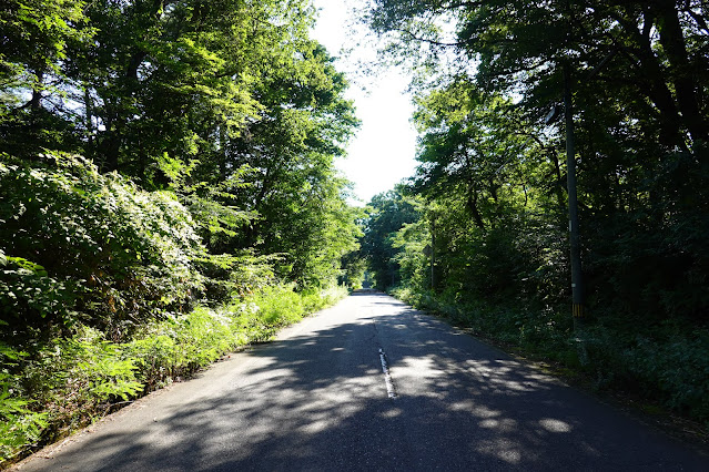 鳥取県道314号赤松大山線　あけまの森バス停近く