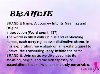 meaning of the name "BRANDIE"