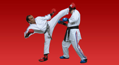 História do karate Full Contact como surgiu?