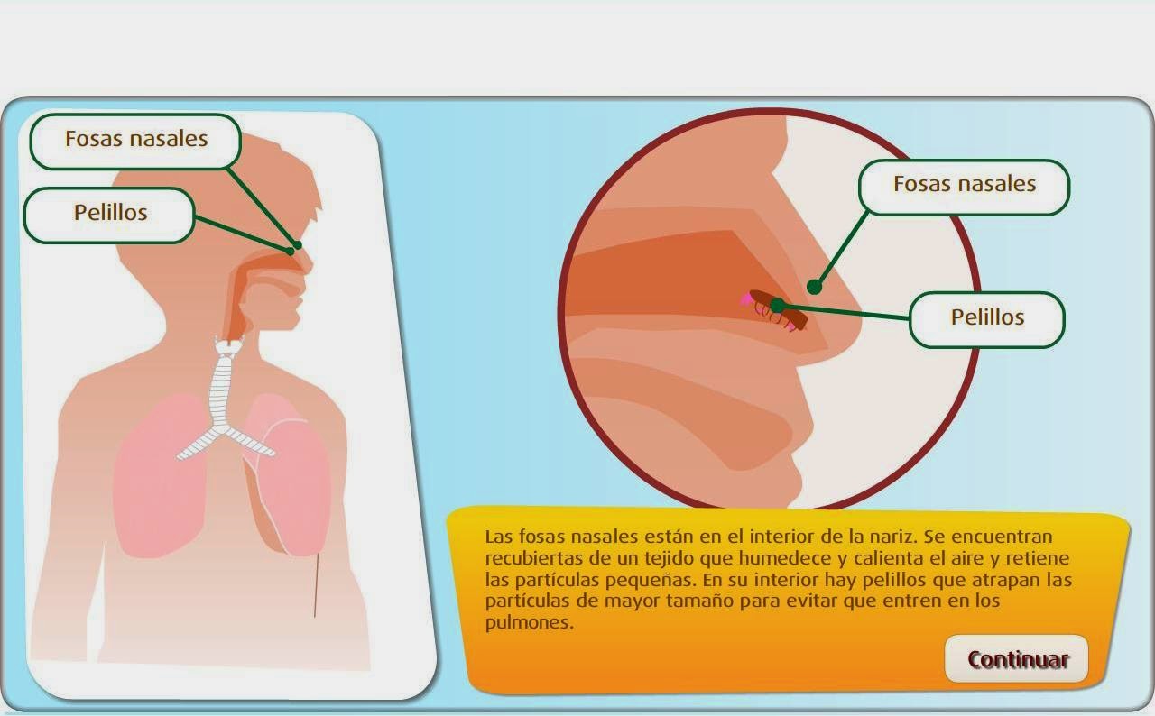 http://www.primaria.librosvivos.net/archivosCMS/3/3/16/usuarios/103294/9/caminoaire/frame_prim.swf