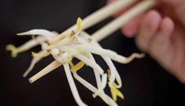 Benefits of bean sprouts for human body health