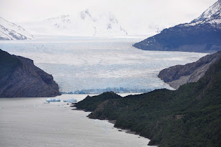 glaciar grey