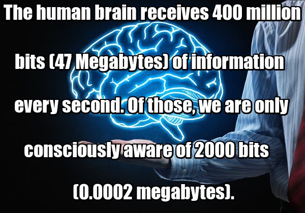 The human brain receives 400 million bits (47 Megabytes) of information every second. 