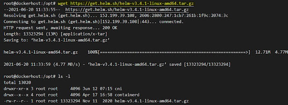 Download Helm Charts on ubuntu