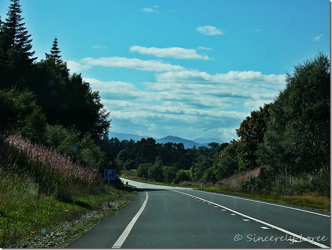 Driving through Caingorms National Park