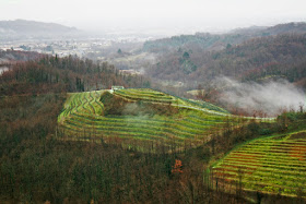 Verduzzo from Ramandolo DOCG