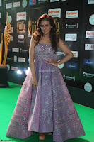 Parul Yadav in Stunning Purple Sleeveless Transparent Gown at IIFA Utsavam Awards 2017  Day 2  Exclusive 13.JPG