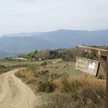 View album