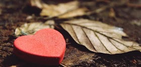 الكاتب «بيدار عبدالعالي» يكتب: وراء الحب!