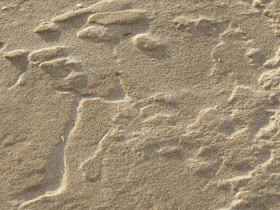 patterns in beach sand