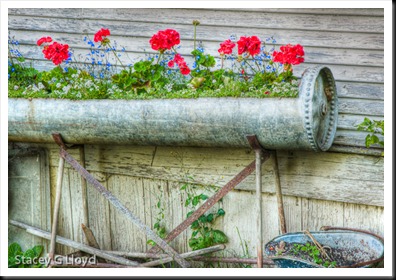 Blog_20100627_1