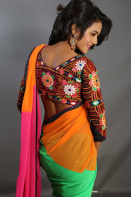 Indian Wedding Saree