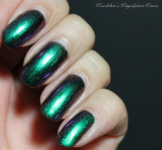 Holo Taco Multichrome Collection- Missed Shift
