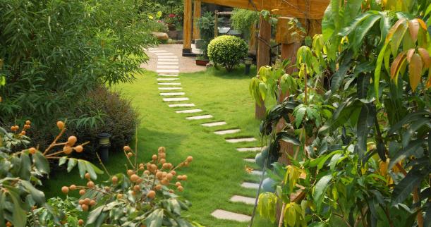 backyard design, backyard garden, backyard garden design, backyard design ideas, backyard garden ideas, backyard landscape design, backyard landscaping, backyard landscape design