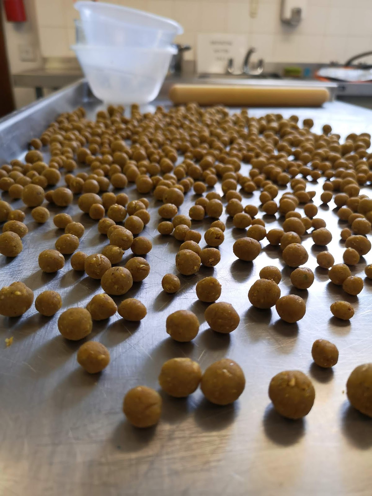 ANGLING WITH SHAUN: Homemade Boilies