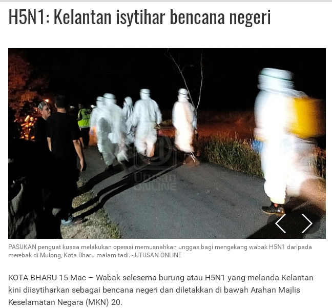 Apa itu Selsema Burung, HPAI dan Avian Influenza 