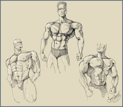 body builders sketch (drawing of men bodies)