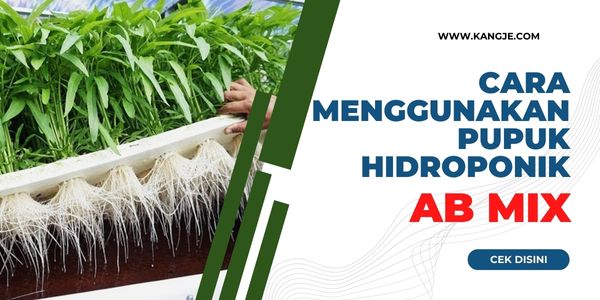 Cara Menggunakan Pupuk AB Mix Yang Tepat Untuk Tanaman Hidroponik